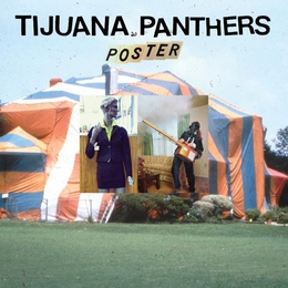 Image du média "POSTER de TIJUANA PANTHERS"