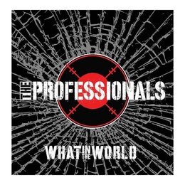 Image du média "WHAT IN THE WORLD de THE PROFESSIONALS"