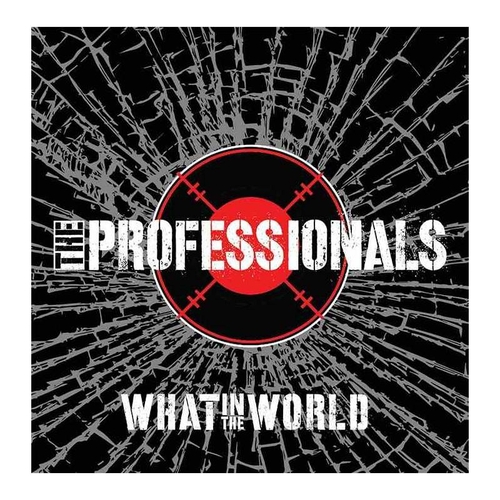 Couverture WHAT IN THE WORLD de THE PROFESSIONALS