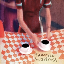 Image du média "FAVORITE WAITRESS de THE FELICE BROTHERS"