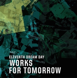 Image du média "WORKS FOR TOMORROW de ELEVENTH DREAM DAY"