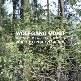 Image du média "RUCKVERZAUBERUNG 10 (NATIONALPARK) de Wolfgang VOIGT"