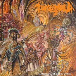 Image du média "MANOR OF INFINITE FORMS de TOMB MOLD"