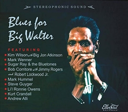 Image du média "BLUES FOR BIG WALTER"