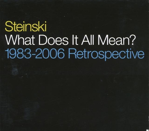 Couverture WHAT DOES IT ALL MEAN? 1983-2006 RETROSPECTIVE de STEINSKI