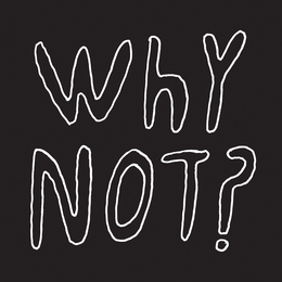 Image du média "WHY NOT? de HALF JAPANESE"