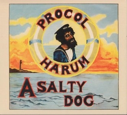 Image du média "A SALTY DOG (EXPANDED & REMASTERED) de PROCOL HARUM"