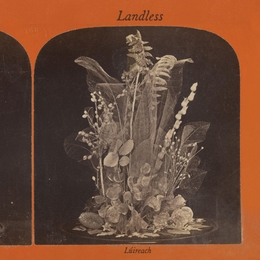 Image du média "LUIREACH de LANDLESS"