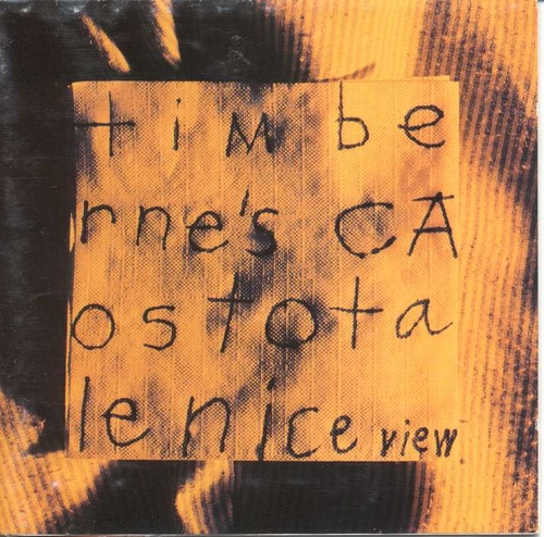 Couverture NICE VIEW de Tim BERNE'S CAOS TOTALE