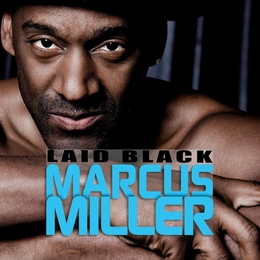 Image du média "LAID BLACK de Marcus MILLER"