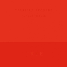 Image du média "TRUE de SOLANGE"