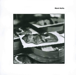 Image du média "MARK HOLLIS de Mark HOLLIS"