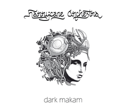 Image du média "DARK MAKAM de HARRYCANE ORCHESTRA"