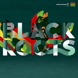 Image du média "ON THE GROUND de BLACK ROOTS"