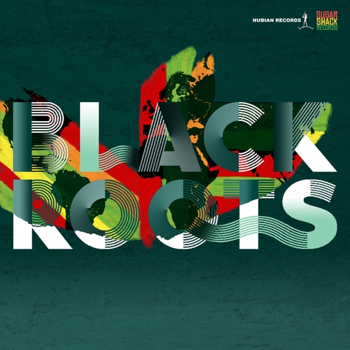 Couverture ON THE GROUND de BLACK ROOTS