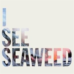 Image du média "I SEE SEAWEEED de THE DRONES"