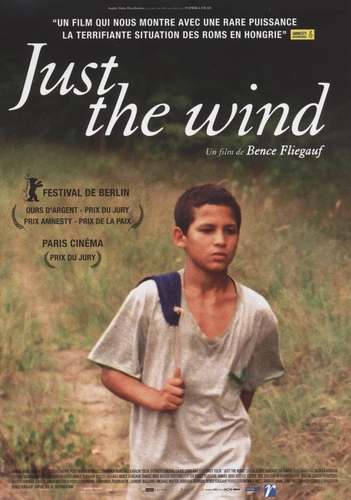 Couverture JUST THE WIND de Bence FLIEGAUF