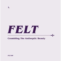 Image du média "CRUMBLING THE ANTISEPTIC BEAUTY (+BONUS) de FELT"