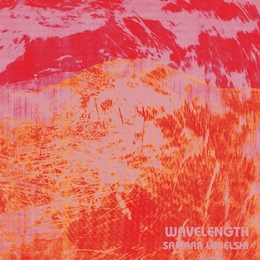 Image du média "WAVELENGTH de Samara LUBELSKI"