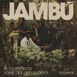 Image du média "JAMBÚ E OS MÍTICOS SONS DA AMAZÔNIA"