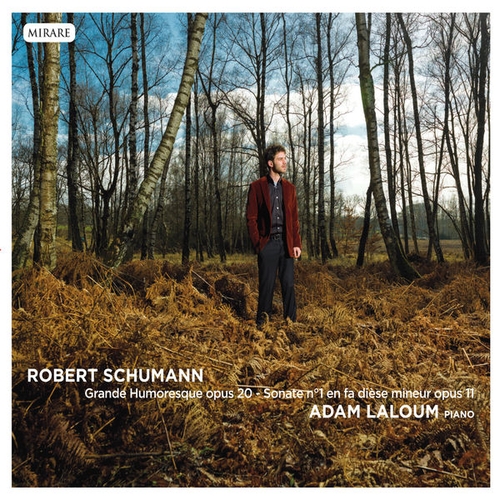 Couverture HUMORESKE PIANO / SONATE N°1 OP.11 de Robert SCHUMANN