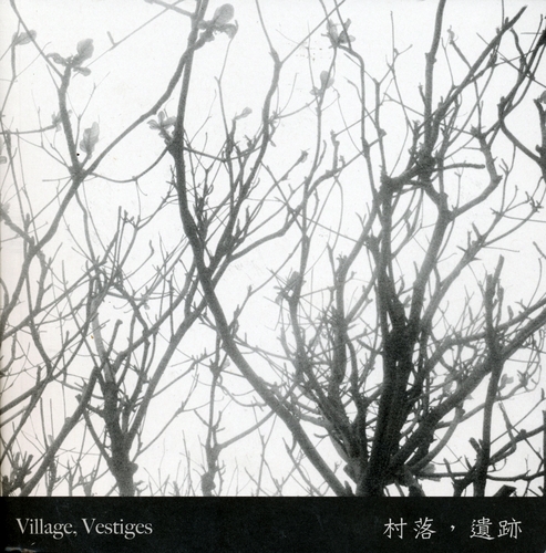 Couverture VILLAGE, VESTIGES de Yannick DAUBY & CHRISTOPHE HAVARD