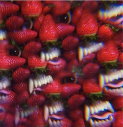 Image du média "FLOATING COFFIN de THEE OH SEES"