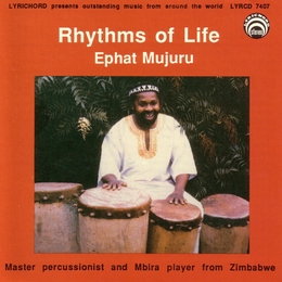 Image du média "RHYTHMS OF LIFE de Ephat MUJURU"