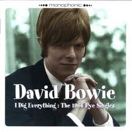 Image du média "I DIG EVERYTHING: THE 1966 PYE SINGLES de David BOWIE"