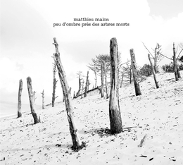 Image du média "PEU D'OMBRE PRÈS DES ARBRES MORTS de Matthieu MALON"