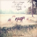 Image du média "SOMETIMES I WISH WE WERE AN EAGLE de Bill CALLAHAN"