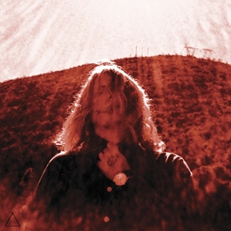 Image du média "MANIPULATOR de Ty SEGALL"