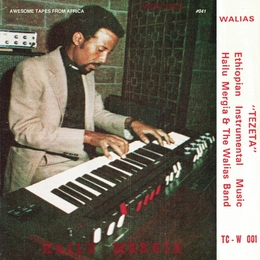 Image du média "TEZETA de Hailu MERGIA & THE WALIAS BAND"