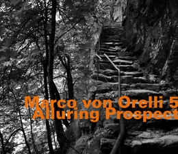 Image du média "ALLURING PROSPECT de Marco VON ORELLI 5"