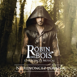 Image du média "ROBIN DES BOIS: NE RENONCEZ JAMAIS"