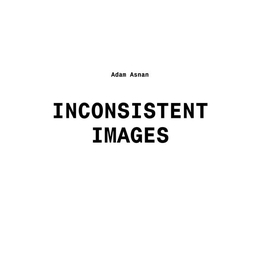 Image du média "INCONSISTENT IMAGES de Adam ASNAN"