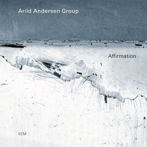 Couverture AFFIRMATION de Arild ANDERSEN GROUP