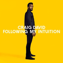 Image du média "FOLLOWING MY INTUITION de Craig DAVID"