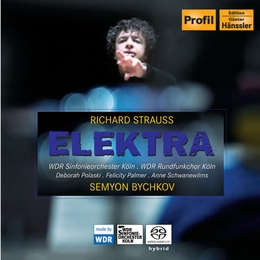 Image du média "ELEKTRA de Richard STRAUSS"