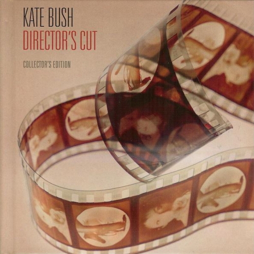 Couverture DIRECTOR'S CUT (COLLECTOR'S EDITION) de Kate BUSH