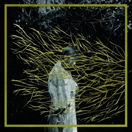 Image du média "ENGRAVINGS de FOREST SWORDS"