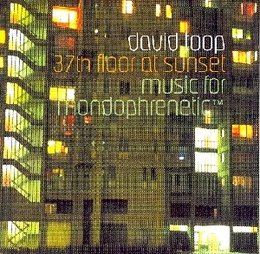 Image du média "37TH FLOOR AT SUNSET - MUSIC FOR MONDOPHRENETIC de David TOOP"