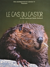 Image du média "LE CAS DU CASTOR de Basile GERBAUD"