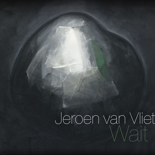 Couverture WAIT de Jeroen VAN VLIET