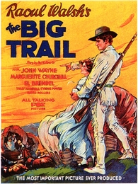 Image du média "LA PISTE DES GÉANTS de Raoul WALSH"