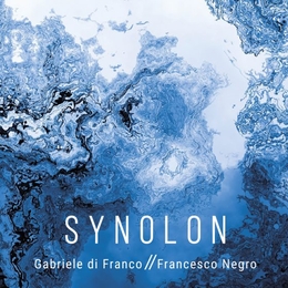 Image du média "SYNOLON de Gabriele DI FRANCO"