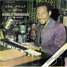 Image du média "TCHE BELEW de Hailu MERGIA AND THE WALIAS"