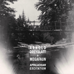 Image du média "APPALACHIAN EXCITATION de Arnold DREYBLATT & MEGAFAUN"