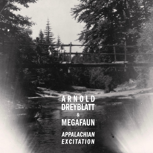 Couverture APPALACHIAN EXCITATION de Arnold DREYBLATT & MEGAFAUN