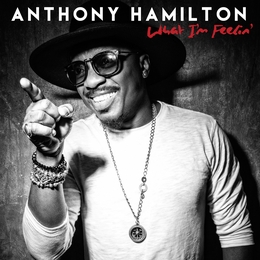 Image du média "WHAT I'M FEELIN' de Anthony HAMILTON"